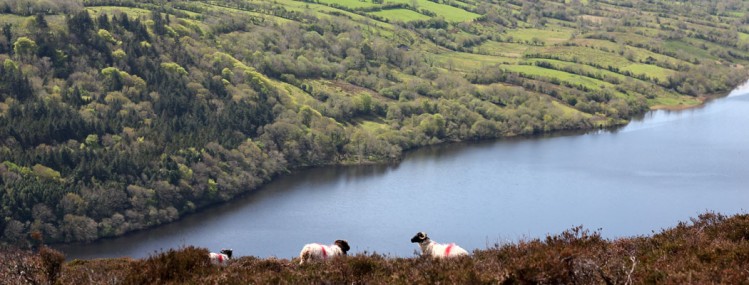 Sligo Kayak Tours